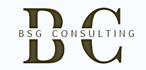 BSG CONSULTING